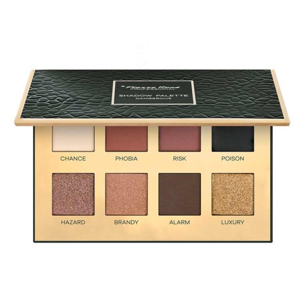 Paleta de sombras Dangerous Pierre Rene
