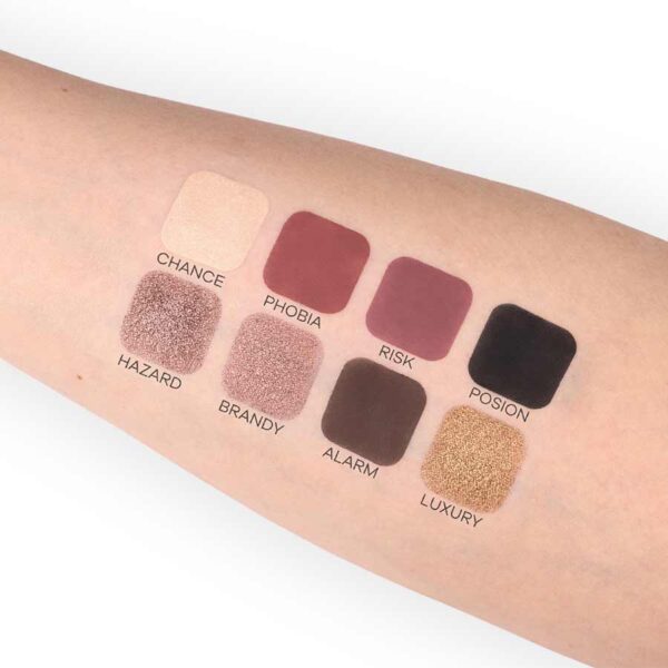 Paleta de sombras Dangerous Pierre Rene - Imagen 3