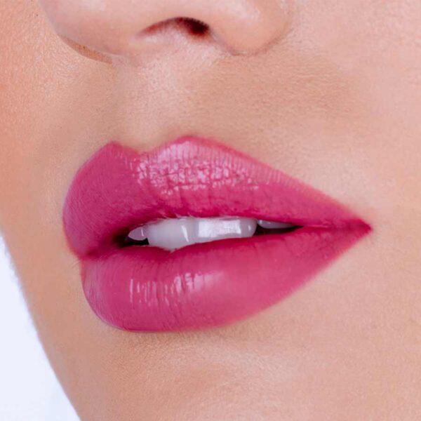 Lip Kit Pierre Rene 02 Mauve Fusion - Imagen 2