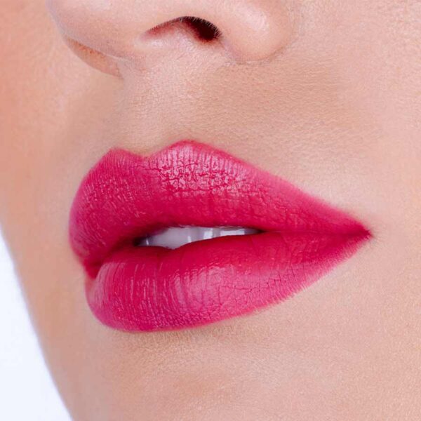 Lip Kit Pierre Rene 03 Rose Fusion - Imagen 2
