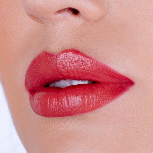 Lip Kit Pierre Rene 04 Warm Nude Fusion - Imagen 2