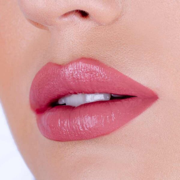 Lip Kit Pierre Rene 05 Peony Fusion - Imagen 2