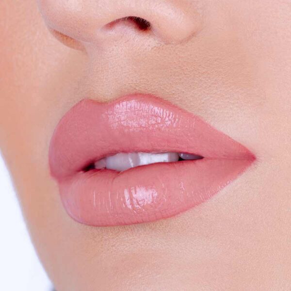 Lip Kit Pierre Rene 06 Nude Fusion - Imagen 2